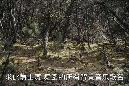 优美的舞蹈纯配乐