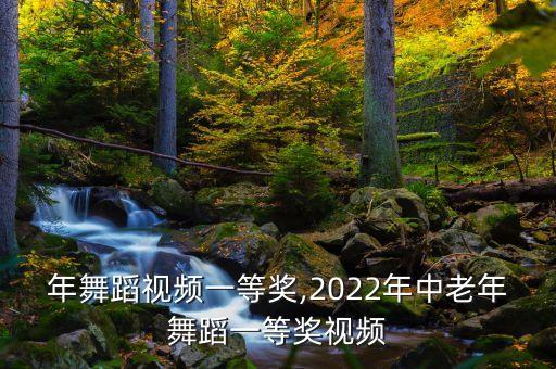 中老年舞蹈视频一等奖,2022年中老年舞蹈一等奖视频