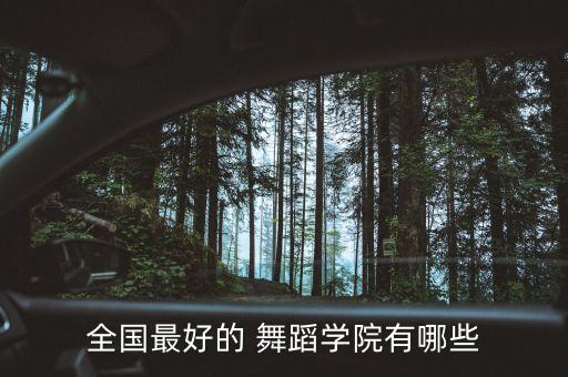 最专业的舞蹈,专业舞蹈格桑拉