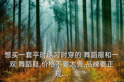唯美芭蕾舞蹈鞋,芭蕾舞蹈图片唯美意境图片