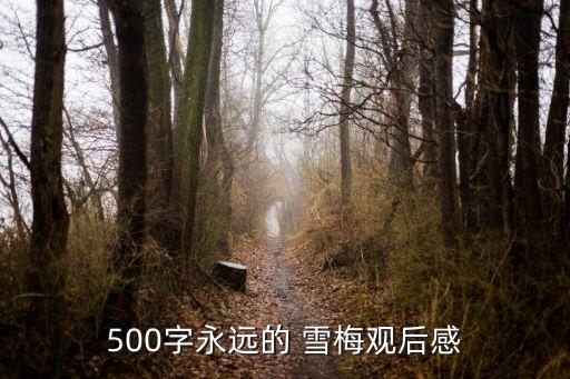 红河雪梅舞蹈中心