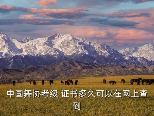 中国舞蹈家协会证书查询