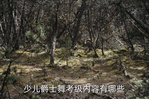 4-6岁儿童舞蹈,七八岁的儿童舞蹈播放