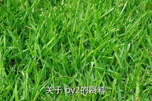 by2舞蹈教学分解动作,有没有by2舞蹈教学视频