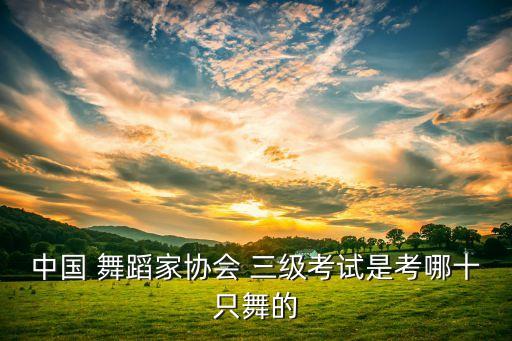考级舞蹈三级眼睛,舞蹈考级三级全部舞蹈