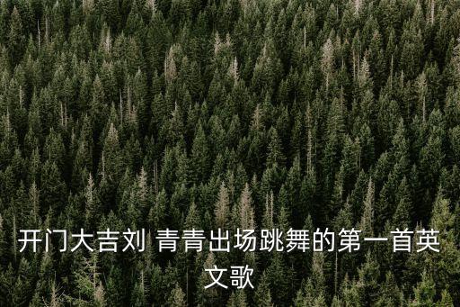 青青个人舞蹈完整,十三个人的舞蹈完整
