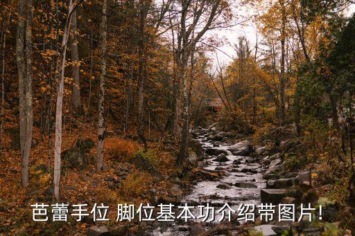舞蹈脚位基本动作,舞蹈头碰脚的动作要领
