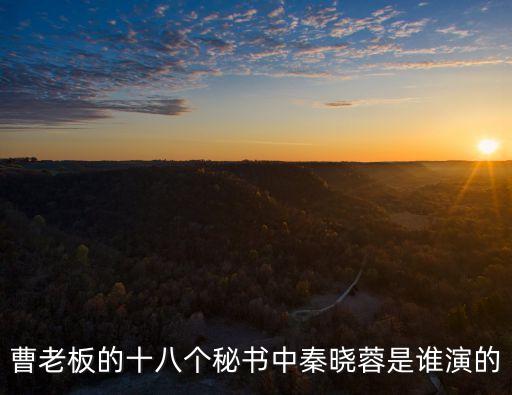 吴晓雯舞蹈,粤剧吴晓雯个人简介