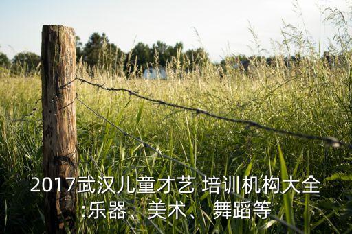 鑫舞舞蹈培训,北京燕之舞舞蹈培训怎么样