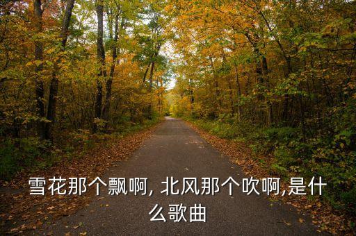 舞蹈又见北风吹队形,又见北风吹舞蹈获奖视频