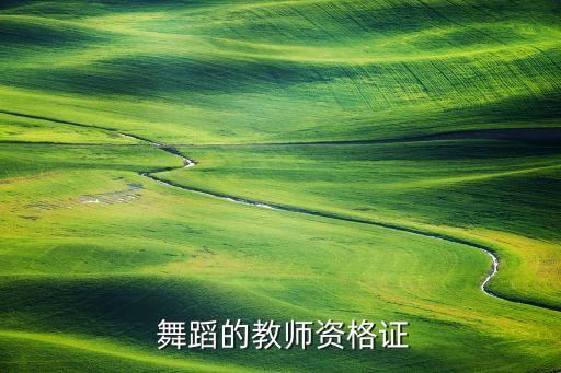 华彩中国舞蹈考级八级