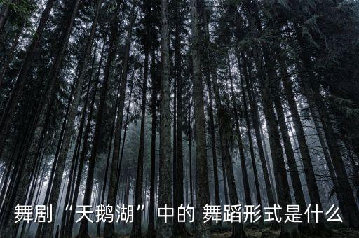 芭蕾舞蹈音乐四小天鹅,芭蕾四小天鹅视频