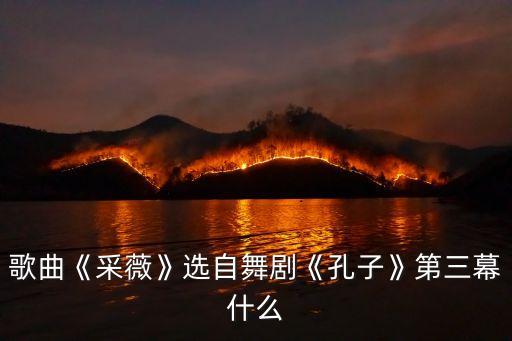 釆微舞蹈,彩微舞蹈视频