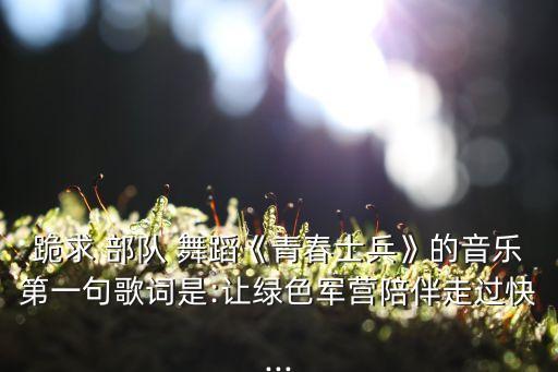 部队开场舞蹈视频大全,幼儿园六一开场舞蹈视频大全