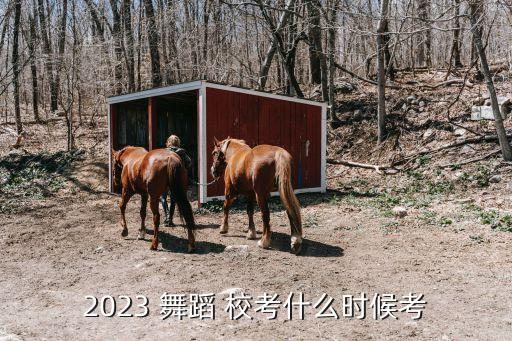 舞蹈学专业校考,音乐与舞蹈学研究生考什么