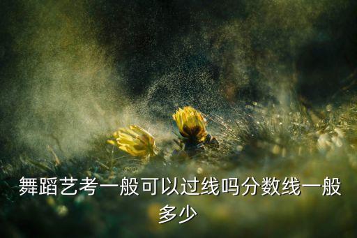 内蒙古舞蹈2017合格线