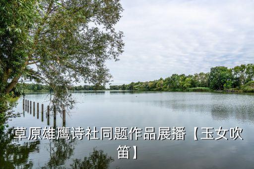 草原鹰舞蹈,草原舞蹈大全100首