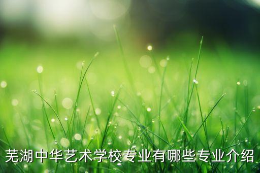 芜湖市 舞蹈