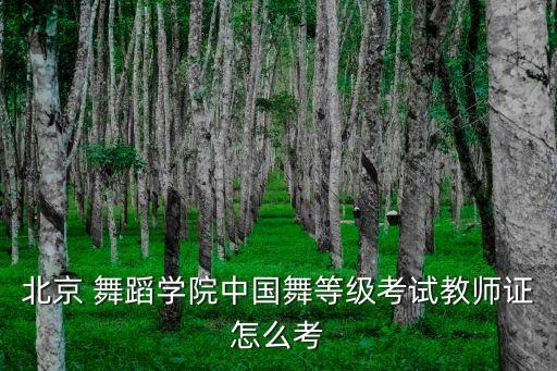 哪里可以进修舞蹈编导,北京舞蹈学院舞蹈编导进修