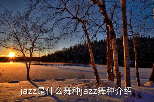 爵士舞蹈11级
