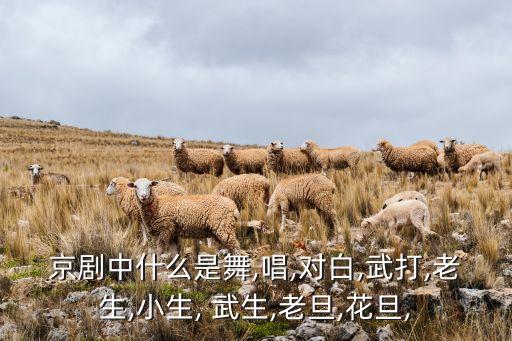 武生舞蹈,歌曲武生舞蹈