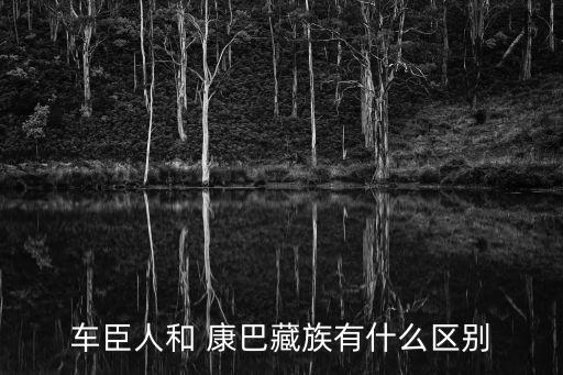 康巴女人舞蹈视频,康巴情舞蹈视频第一名