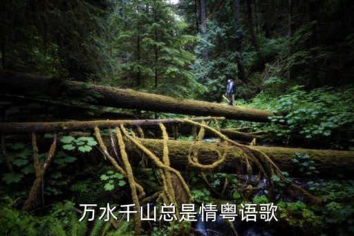 万水千山怎是情舞蹈分解,你的万水千山原版舞蹈