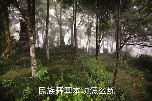 民族舞蹈初级教学,画你民族舞蹈教学视频分解