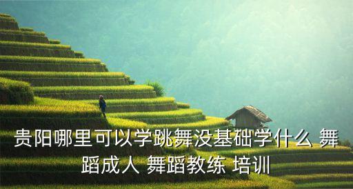 冷水江舞蹈培训机构,单色舞蹈培训机构怎么样