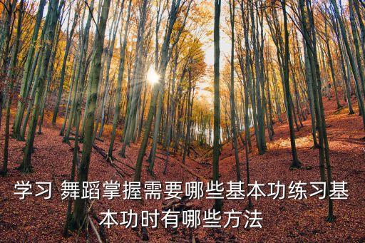 《练》 舞蹈教学,桃李杯《练》舞蹈评析