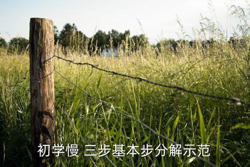 我想学双人舞蹈慢三步