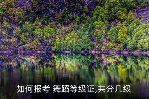 考级舞蹈蒙古族八