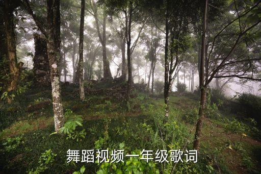 小花找妈妈舞蹈,红红的小花鞋舞蹈