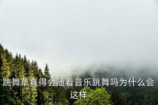 歌曲小草舞蹈视频播放