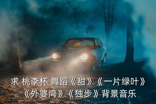 桃李杯幼儿简单舞蹈视频,幼儿桃李杯舞蹈视频吃水不忘挖井人