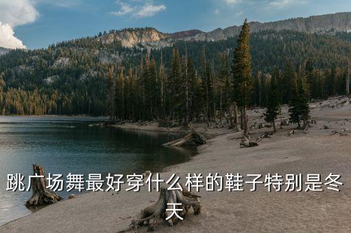舞蹈靴子