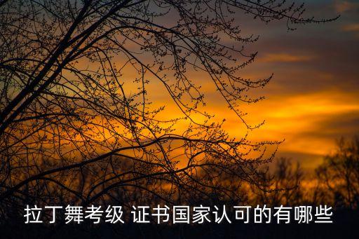 体育舞蹈大赛证书,中国体育舞蹈联合会考级证书