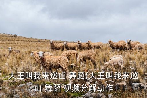 5到6岁幼儿舞蹈视频下载,教会最新最好舞蹈视频下载