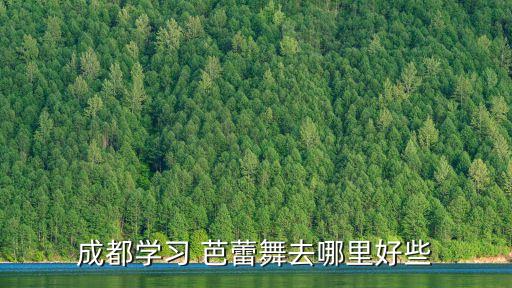 芭蕾舞舞蹈培训基地更衣室T