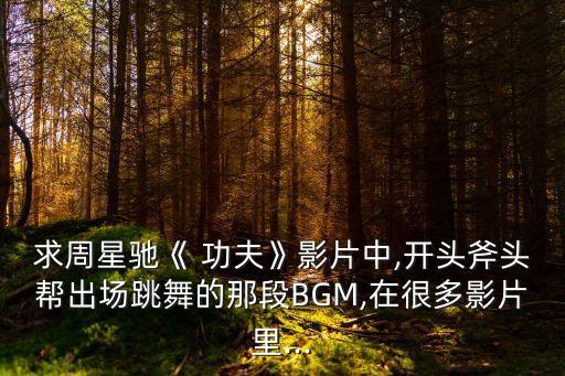 功夫舞蹈 为一体视频,功夫宝宝幼儿舞蹈视频完整版