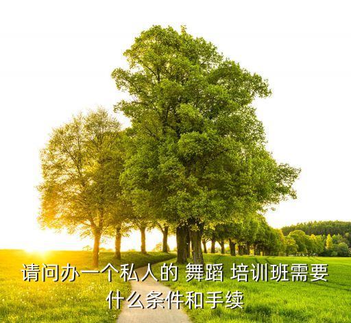 请问办一个私人的 舞蹈 培训班需要什么条件和手续