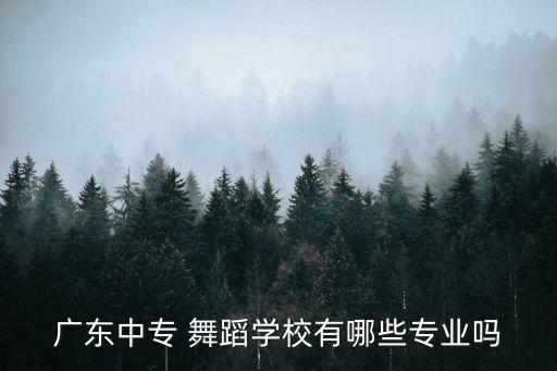 广东中专 舞蹈学校有哪些专业吗