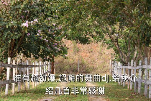谁有超劲爆,超嗨的舞曲dj,给我介绍几首非常感谢