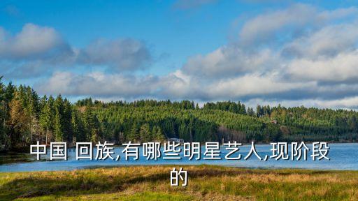 中国 回族,有哪些明星艺人,现阶段的