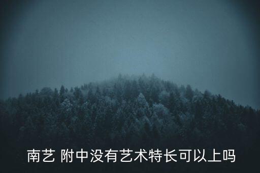  南艺 附中没有艺术特长可以上吗