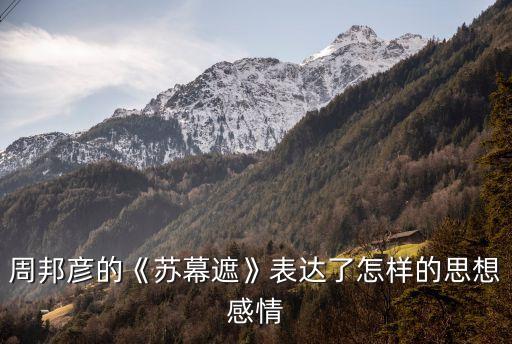 苏慕遮舞蹈动作分解