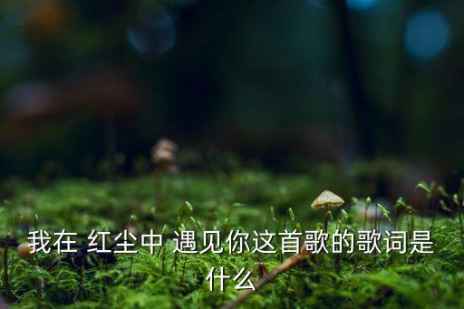 我在 红尘中 遇见你这首歌的歌词是什么