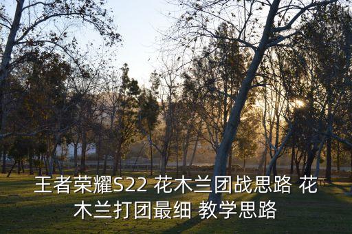 花木兰舞蹈教学分解,考级舞蹈花木兰教学视频
