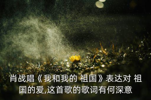 饶子龙舞蹈我和我的祖国,舞蹈我和我的祖国一等奖队形版饶子龙