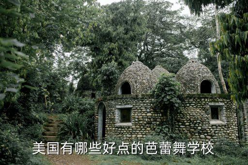 美国有哪些好点的芭蕾舞学校